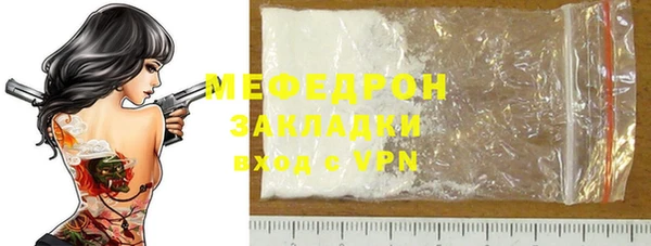 индика Богданович