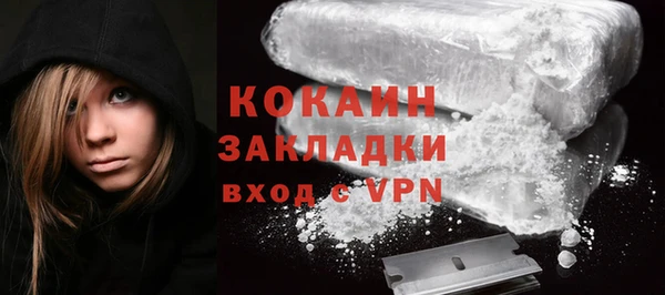 индика Богданович