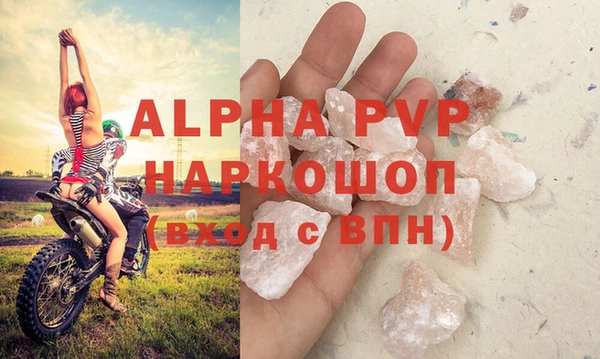 индика Богданович