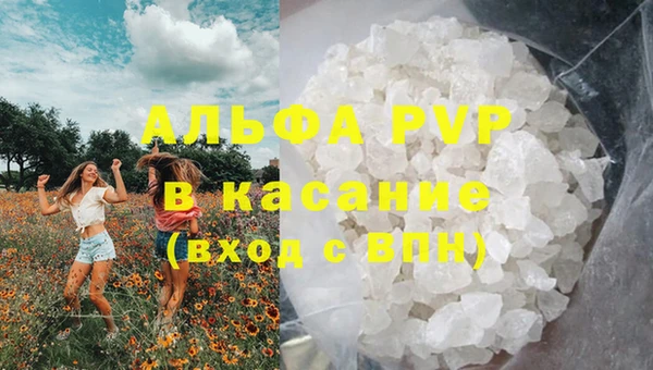 индика Богданович