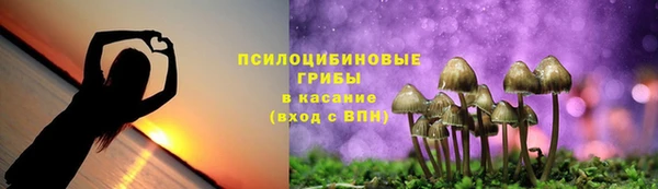 амф Богородицк