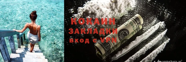 индика Богданович