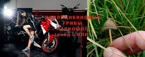 индика Богданович