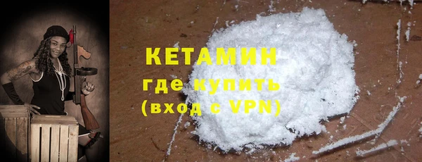 индика Богданович